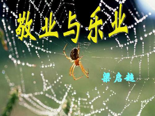 5 《敬业与乐业》