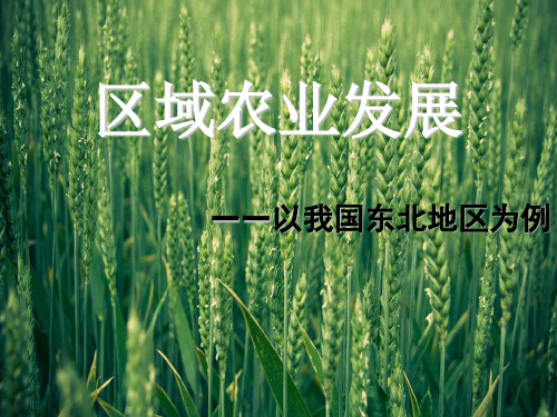 4.1区域农业发展  课件 人教版必修三(共24张PPT)