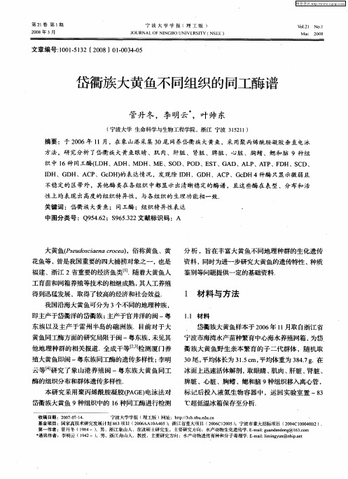 岱衢族大黄鱼不同组织的同工酶谱