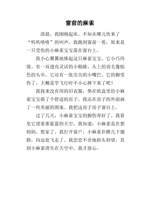窗前的麻雀