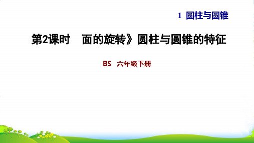 北师大版六年级下册数学习题课件 1.2 面的旋转 圆柱与圆锥的特征 (共12张PPT)