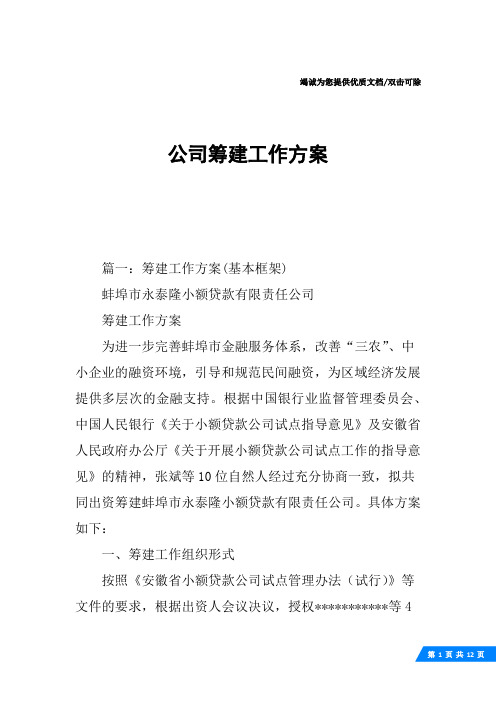 公司筹建工作方案