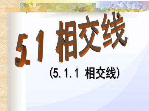 新人教版七年级数学下册第五章《相交线》公开课课件