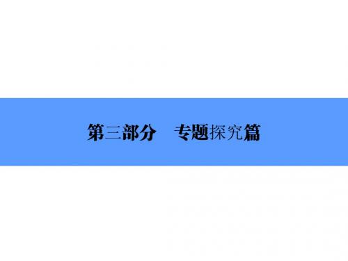 中考历史(北师大版)总复习全程突破配套(课件)：专题十