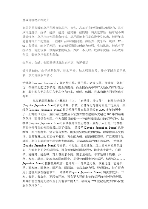 盐碱地地被植物