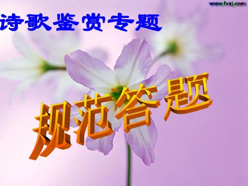高考复习诗歌鉴赏专题规范答题ppt1