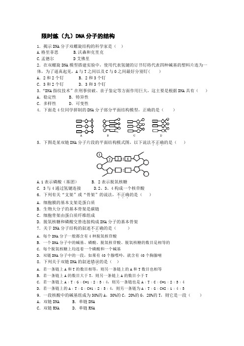 高一生物必修二课时训练： 3.2 DNA分子的结构含答案