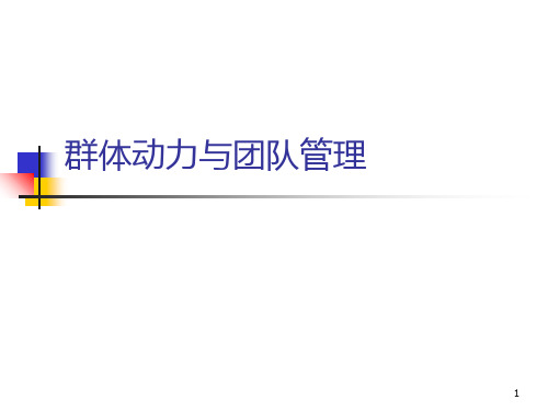 群体群体动力与团队管理PPT课件