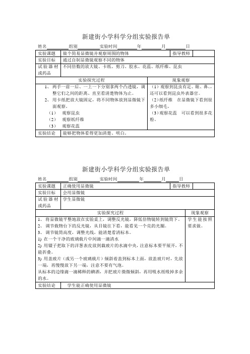 六年级下册分组实验报告单