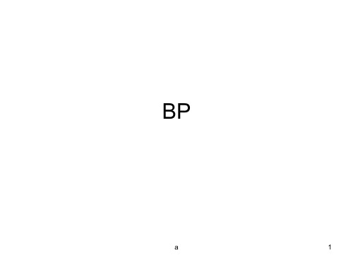 bp辩论规则介绍