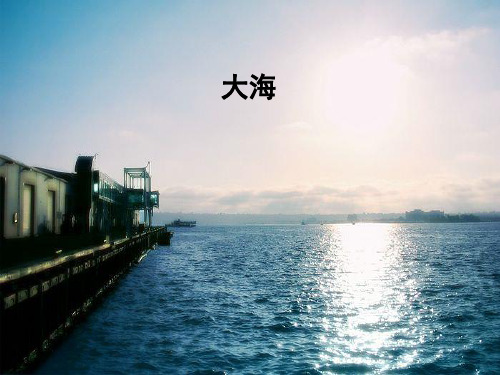 二年级下册音乐课件第9课 大海 小提琴独奏曲《大海》｜花城版 (共13张PPT)