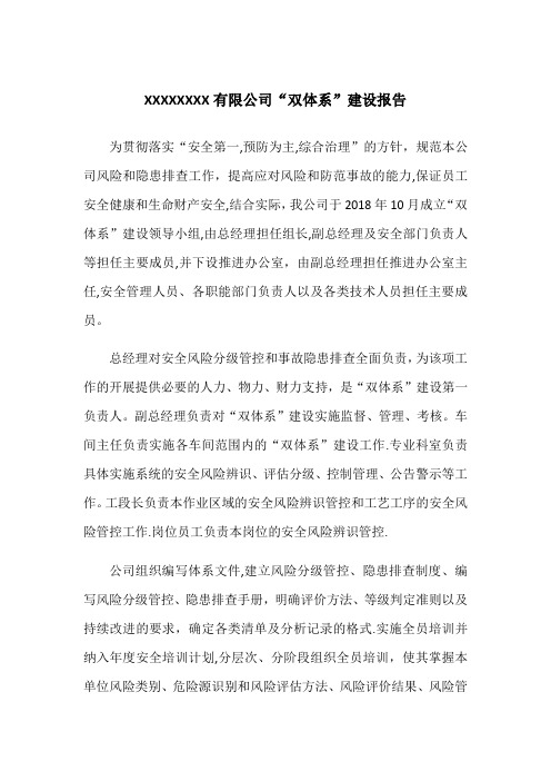 双体系建设报告