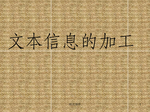 文本信息的加工ppt课件