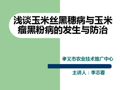 玉米丝黑穗病 瘤黑粉病及防治