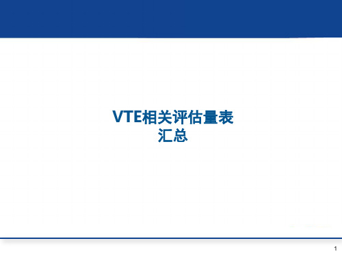 住院患者VTE相关评估量表(单纯量表版本 10.16)ppt课件