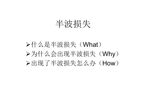 半波损失