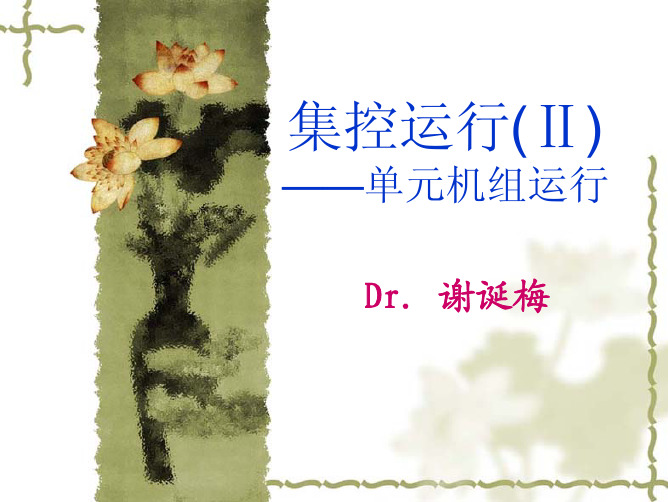 集控运行