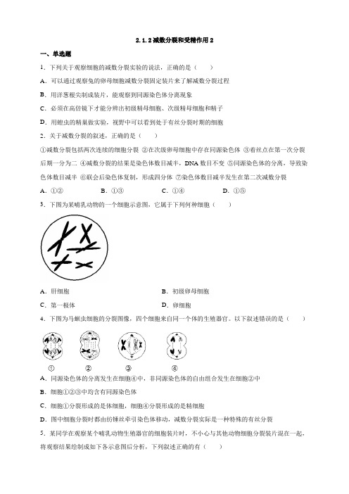 高中生物第二册 2 1 2减数分裂和受精作用2课后作业