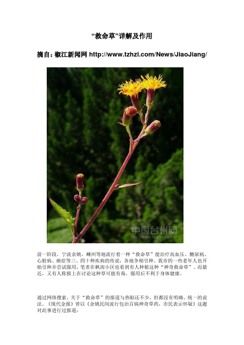 “救命草”详解及作用