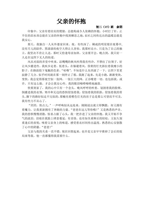 父亲的怀抱