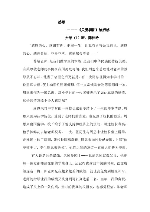 关爱朝阳》读后感