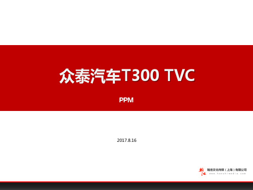 ZTQC《乐趣门》TVC广告PPM会议