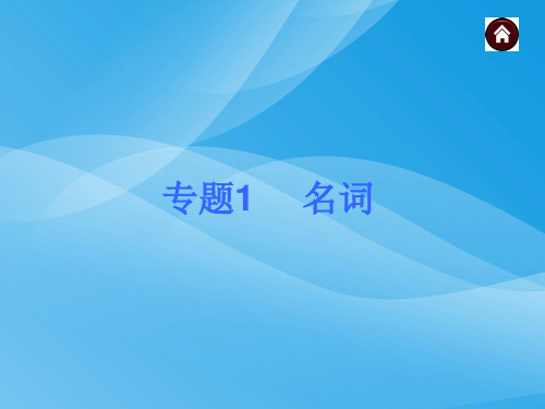 2015中考英语语法名词专题总复习英语课件PPT