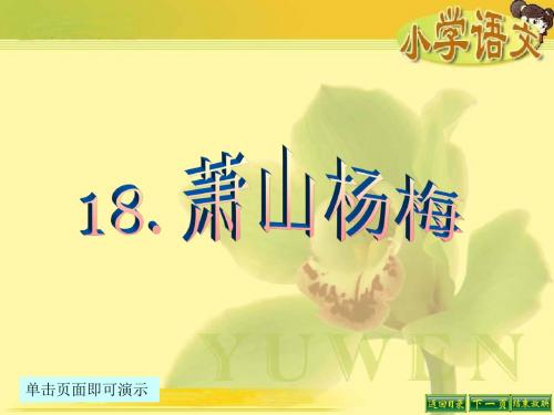最新语文S版四年级语文下册18、萧山杨梅ppt课件(ppt公开课优质教学课件)B