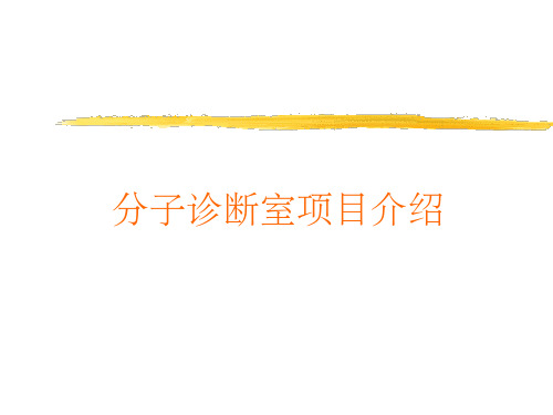 《分子诊断项目》PPT课件