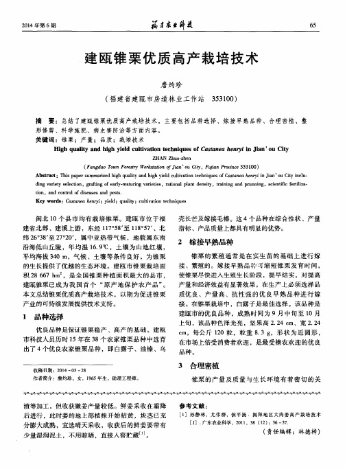 建瓯锥栗优质高产栽培技术