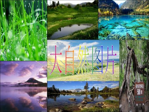 我爱大自然幻灯片