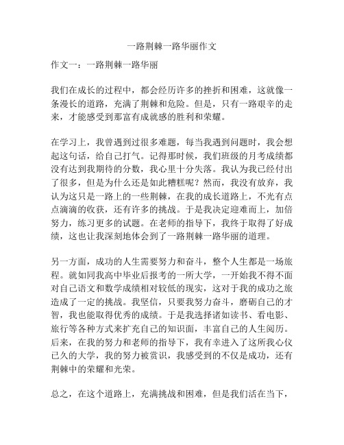 一路荆棘一路华丽作文