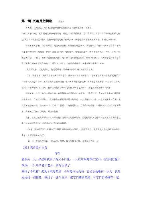肖复兴讲作文