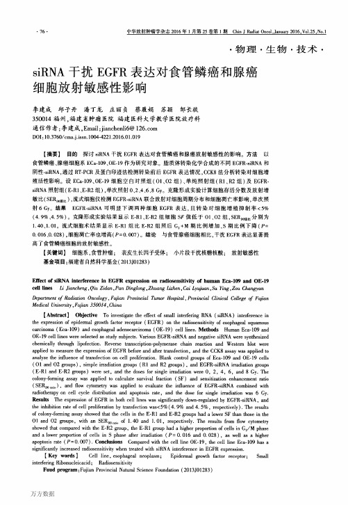 siRNA干扰EGFR表达对食管鳞癌和腺癌细胞放射敏感性影响重点