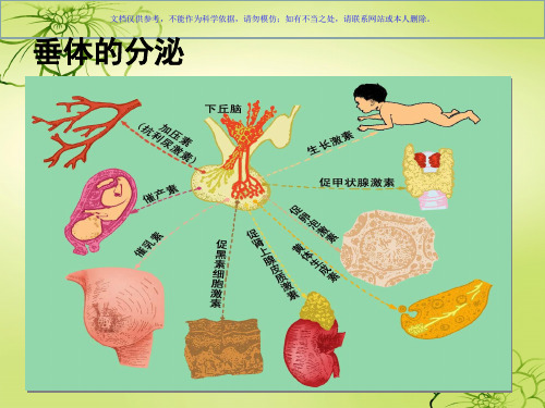 垂体分泌激素的生理作用课件
