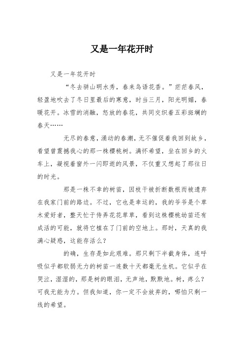 初中议论文作文：又是一年花开时