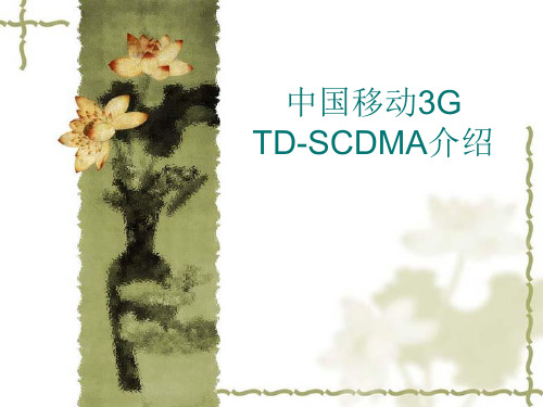 中国移动TD-SCDMA介绍