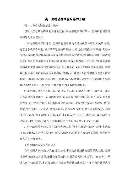 高一生物动物细胞培养的介绍
