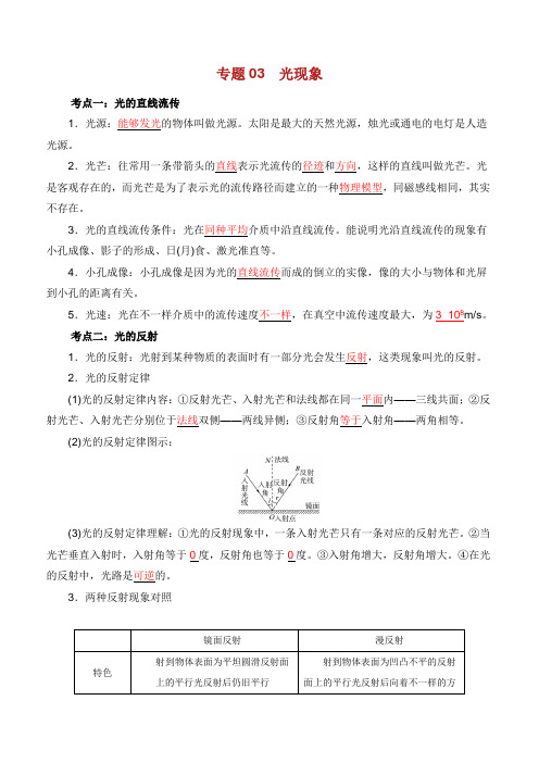 备考中考物理知识点复习专练知识点精讲专题 光现象含解析