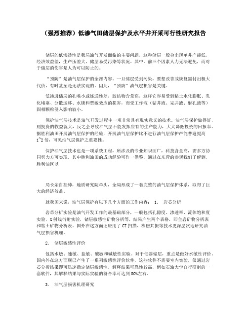 (强烈推荐)低渗气田储层保护及水平井开采可行性研究报告