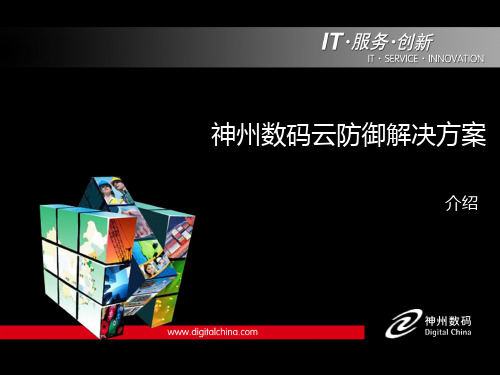 神州数码应用防火墙