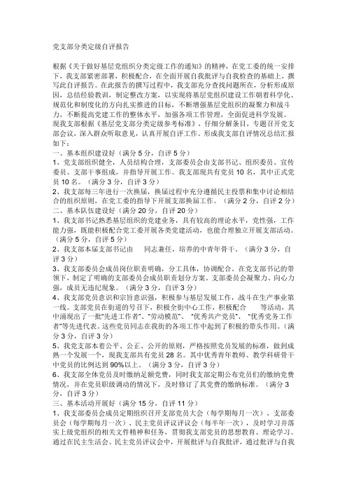 党支部分类定级自评报告