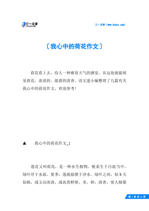 我心中的荷花作文