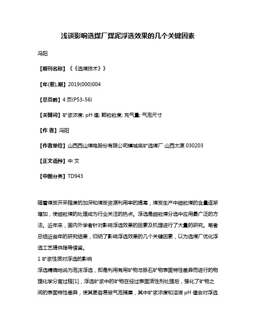 浅谈影响选煤厂煤泥浮选效果的几个关键因素