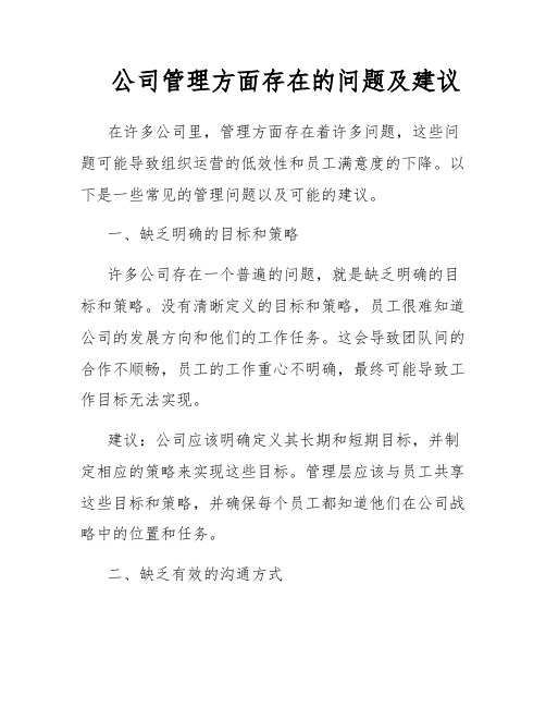 公司管理方面存在的问题及建议