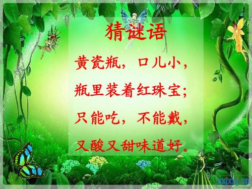 苏教版三年级语文上册 《石榴》