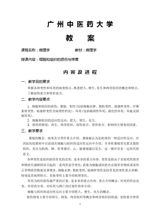 广中医病理学教案
