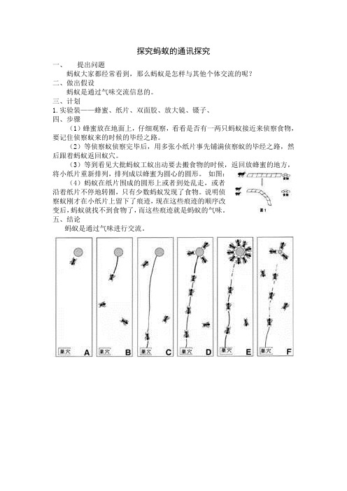 蚂蚁的通讯探究实验方案[1]