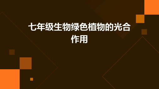 七年级生物绿色植物的光合作用