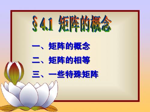 10矩阵概念